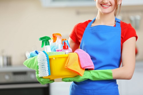 Barnes Carpet Cleaners professional team caring for a clean carpet