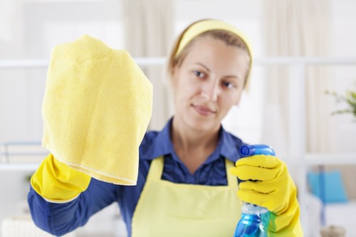 Professional home cleaners working in a Barnes living room