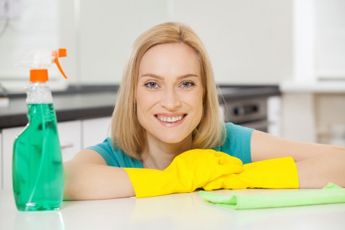 Cleaner in Barnes supporting office and commercial cleanliness