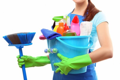 Deep cleaning bathroom during Barnes tenancy clean