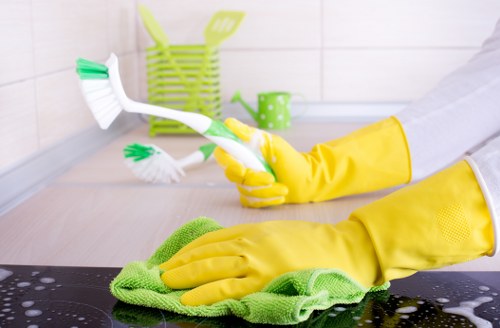Carpet stain removal and cleaning process in Barnes