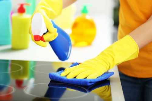 Domestic cleaning service in Barnes kitchen area