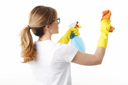 Deep carpet stain removal in Barnes property