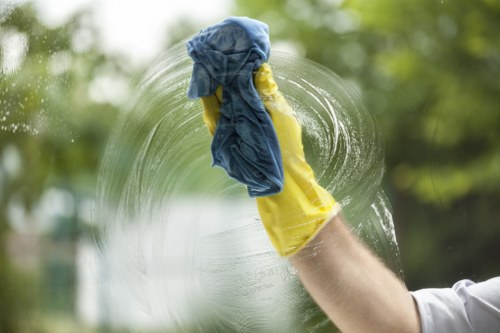 Protective gloves and cleaning products arranged safely