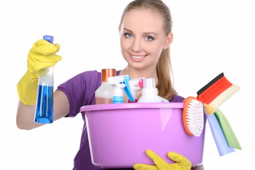 Residential and commercial window cleaning services in Barnes