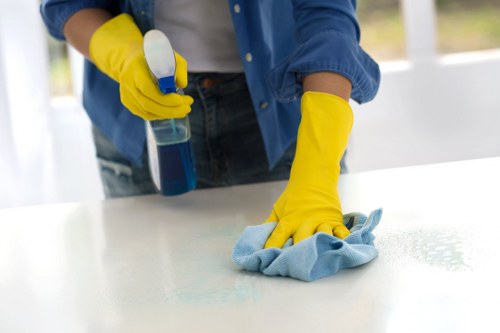 Eco-friendly cleaners in Barnes working in a bright, clean living space