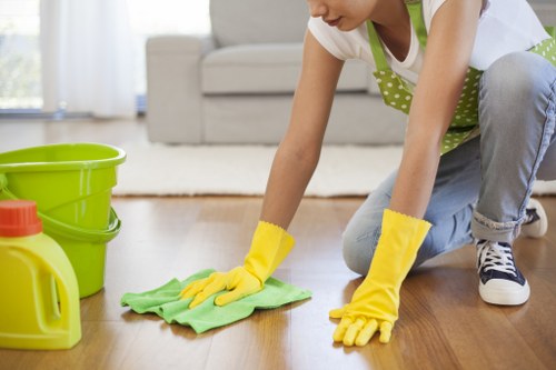 Professional cleaning supplies used in Barnes property